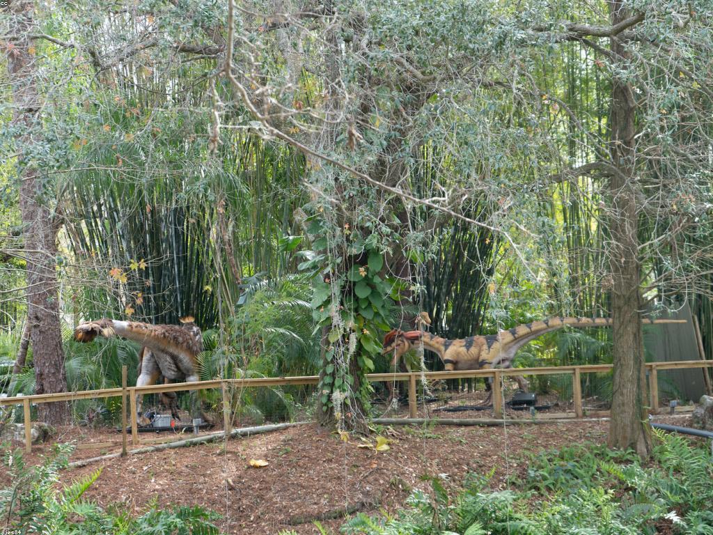 ការវាយតម្លៃស្លត