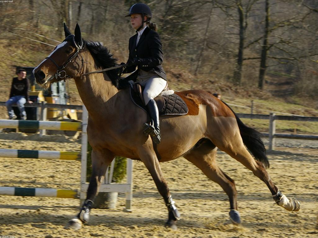 ការយល់ដឹងអំពីពិន្ទុ និងព្រឹត្តិការណ៍