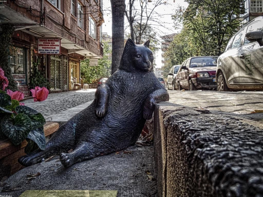 ការយល់ដឹងអំពីសារៈសំខាន់នៃពិន្ទុ និងព្រឹត្តិការណ៍